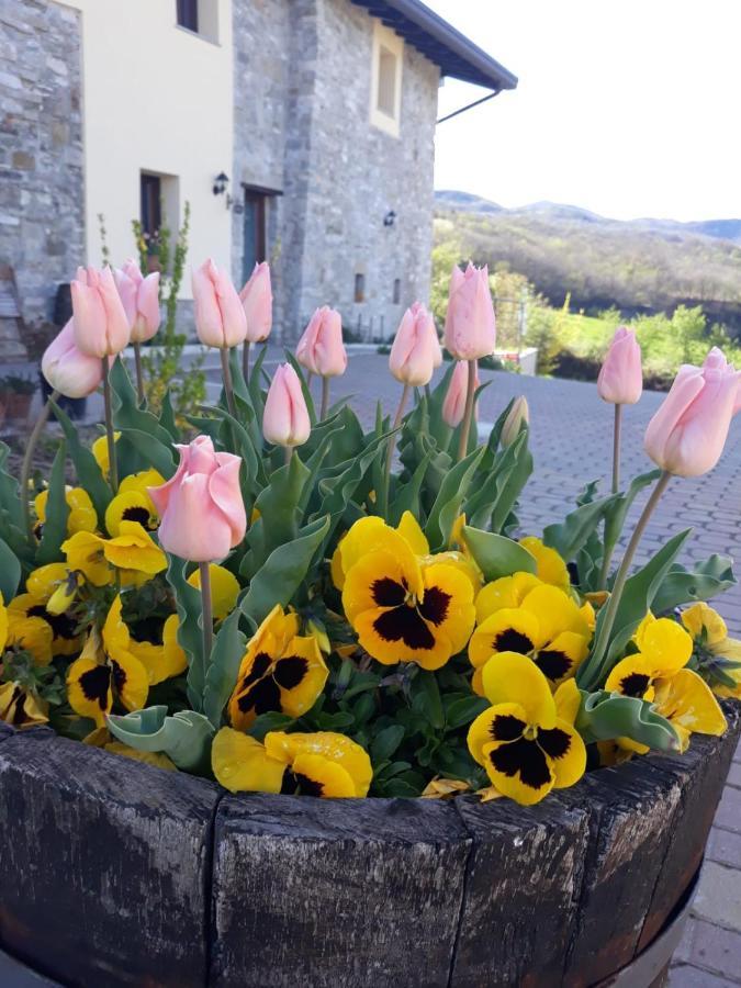 Poggio D'Incanto Bettola  ภายนอก รูปภาพ